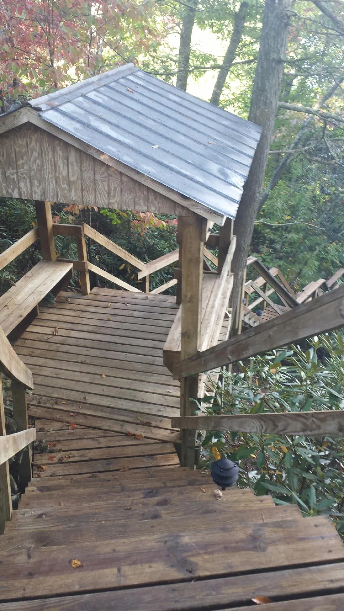 Metal roofed shelter over wooden steps on a wooded walkway — Skylight Repair & Installation work by our crew in Waldron